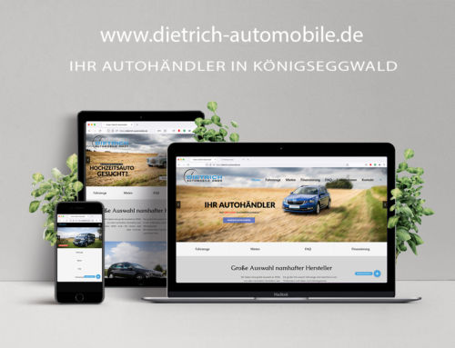 Website für Dietrich Automobile